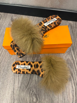 Ciabby Leopardo